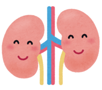 Healthy kidney character