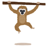 Gibbon