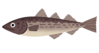 Walleye pollock