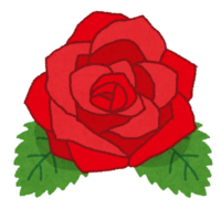 Rose flower