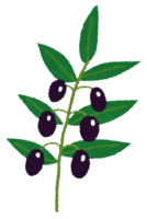 Olive fruit and leaves