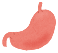 Stomach (human body)