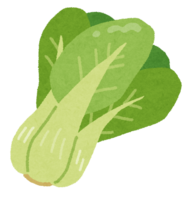 Bok choy