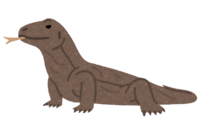 Komodo dragon
