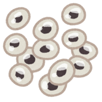 Frog egg (frog growth)