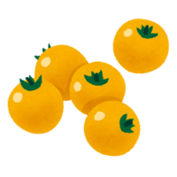 Yellow cherry tomato-petit tomato