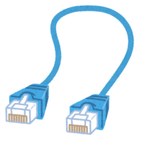 LAN cable