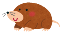 鼹鼠