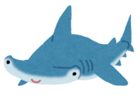 Hammerhead Shark-Hammerhead Shark