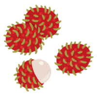 Rambutan