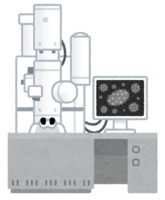 Transmission electron microscope