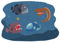 Deep sea and deep sea fish