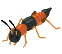 Aoba Arigata Hanekakushi