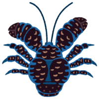 Coconut crab