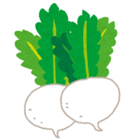 Turnip (vegetable)