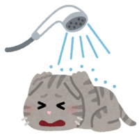 Cat that hates the bath