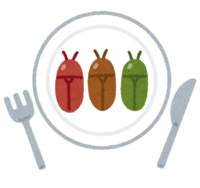 Insect food
