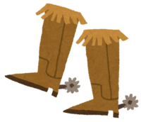 Western boots (shoes)