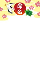 Templates for various naming books