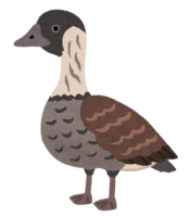 ハワイガン-ネネ