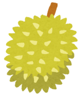 ドリアン(フルーツ)