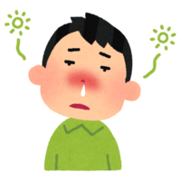 A person who is dull with a stuffy nose (hay fever)