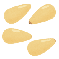 Pine nuts
