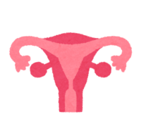 子宮のアイコン(内臓)
