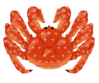 King crab