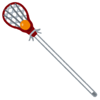 Lacrosse stick