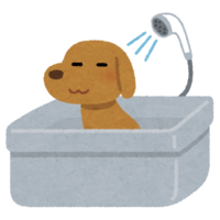 Dog bath