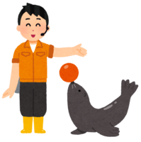 海狮和运动衫(男性)