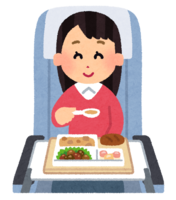In-flight meal