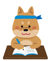 Animal (dog) studying