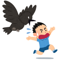 被乌鸦袭击的人