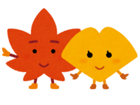 银杏和红枫(秋天)