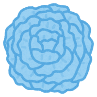 いろいろなお花紙