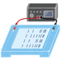 Electrophoretic device