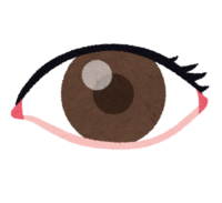 Eyes (human body)