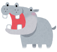 Hippopotamus