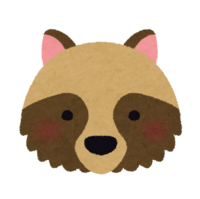 raccoon dog face