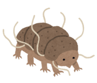 Tardigrade