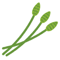 Asparagus
