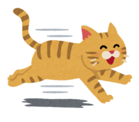 奔跑的猫(笑容)