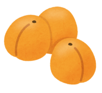 杏子