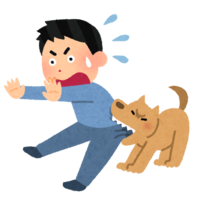 A person bitten by a dog