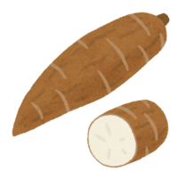 Cassava