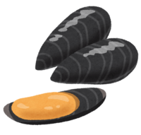 Mussel