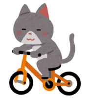 骑自行车的猫(动物)