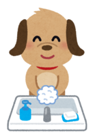 手洗い(犬)